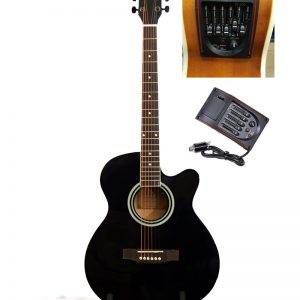 TGM Acoustic Guitar TM-1 With EQ