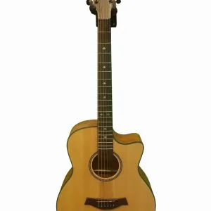 AS-100 Acoustic Diamu