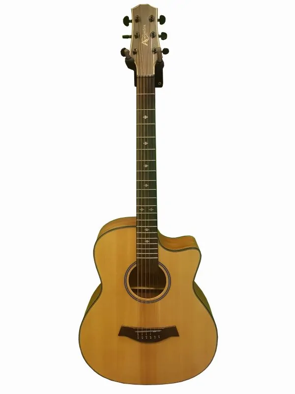 AS-100 Acoustic Diamu