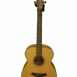 AS-100 Acoustic Diamu