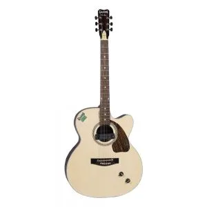 Givson Venus Rose Acoustic Guitar