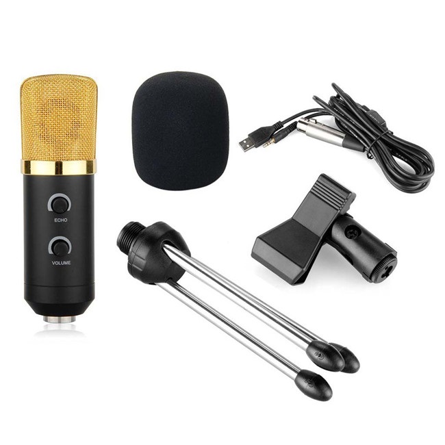 BM 100FX USB Condenser Sound Recording Microphone with Stand Holder