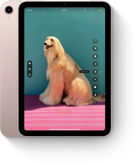 Apple-ipad-mini-2021-Rear-Camera