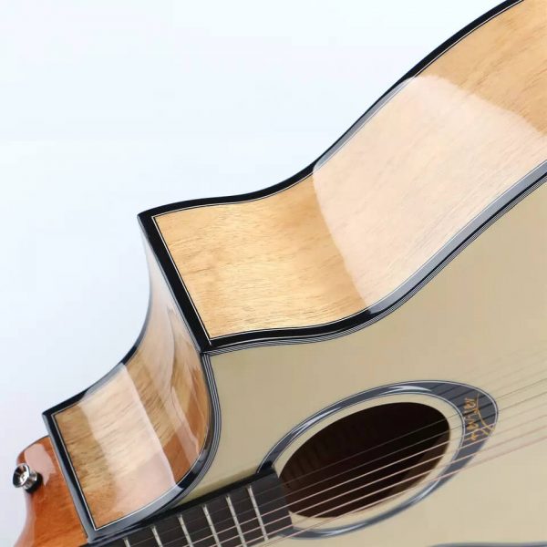 Deviser-L-610-Acoustic-Guitar-1