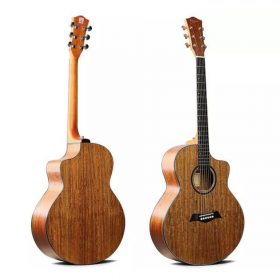 Deviser-LS-150N-40-Acoustic-Guitar