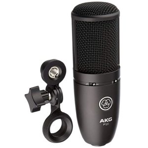 AKG P120 High-Performance Recording Microphone