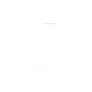 DJI White Logo