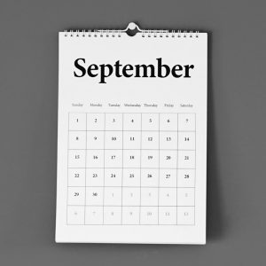 Business Wall Calendar