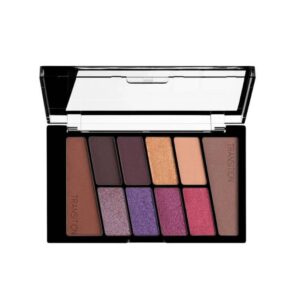 Wet-N-Wild-Color-Icon-Eyeshadow-10-Pan-–-V.i.purple