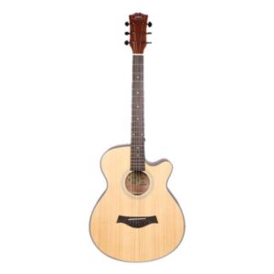Giuliani-GAG-40SS-EQNG-Acoustic-Guitar