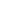 Secure-Payment-Icon-White-Diamu