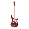 Bass-Guitar-Icon