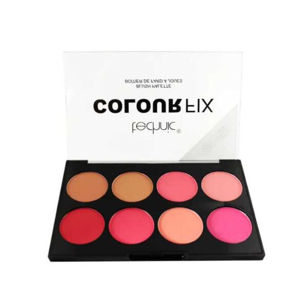 Technic-Color-Fix-Blush-Palette