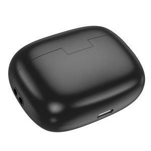 Hoco-EQ20-True-Wireless-ANC-Bluetooth-Earbuds-2