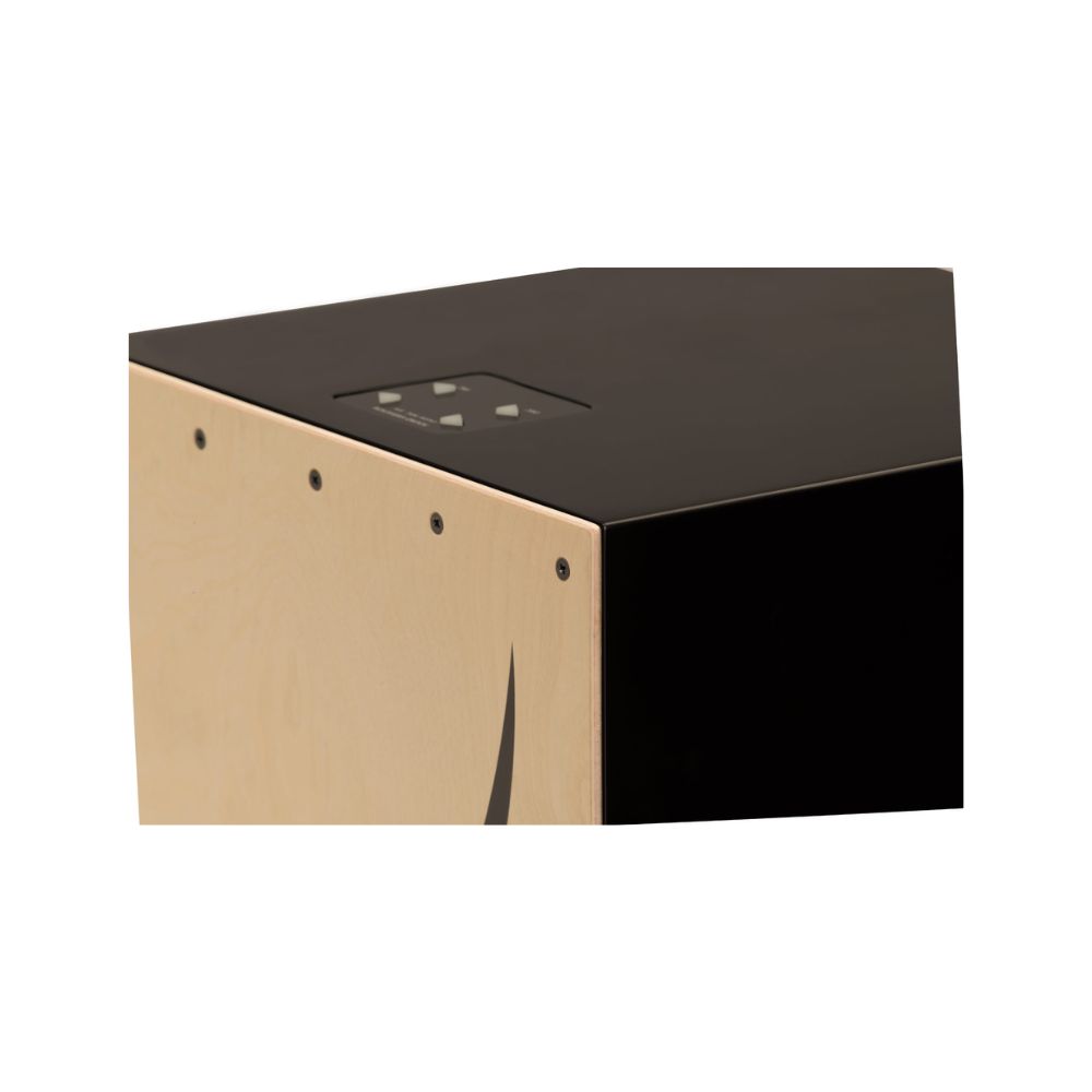 Roland-EL-Cajon-EC-10-Electronic-Layered-Cajon-3