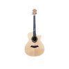 AXE-Premier-Z170-Z180-Pure-Acoustic-Guitar