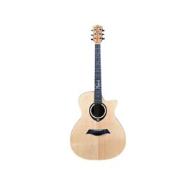 AXE-Premier-Z170-Z180-Pure-Acoustic-Guitar