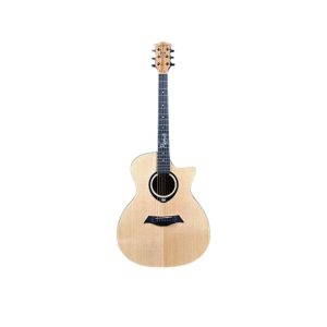 AXE-Premier-Z170-Z180-Pure-Acoustic-Guitar