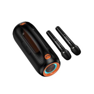 Hoco-DS67-SuperBass-Pro-600W-Wireless-Party-Speaker-4