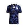 Argentina-Away-Authentic-Jersey-World-Cup-Football-2026-best-offfer