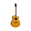 Yamaha-CPX600-Acoustic-Guitar