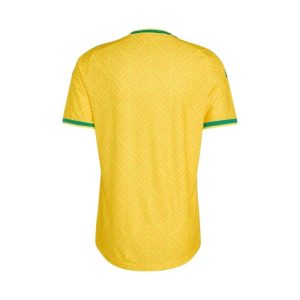 South-Africa-Home-Authentic-Jersey-World-Cup-Football-2026-Diamu