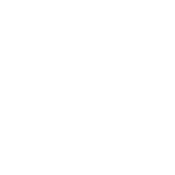 DJI-Brand-Store-Logo-Diamu