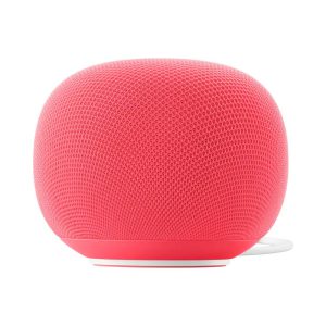 Google-Home-Speaker-with-Gemini-Berry
