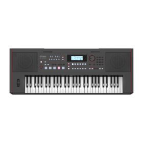 Roland-E-X50-61-key-Arranger-Keyboard