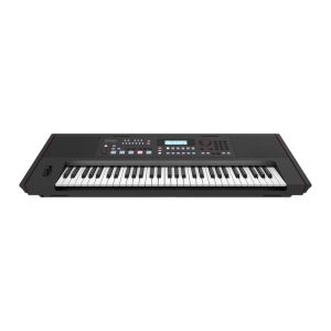 Roland-E-X50-61-key-Arranger-Keyboard-backpart