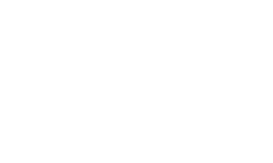 Zoom Logo White Diamu