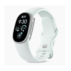 Google-Fitbit-EDGE-Satin-Silver-Aluminum-Case-_-Fog-Active-Band
